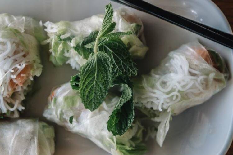 Peacock Vegetable Salad Decoration Competition